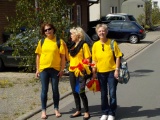 Bild 240.jpg